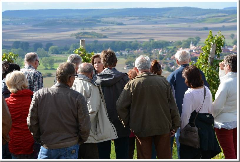 0011_Ausflug201511.jpg
